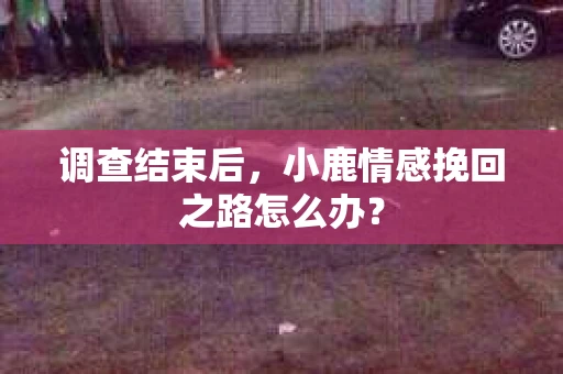 调查结束后，小鹿情感挽回之路怎么办？
