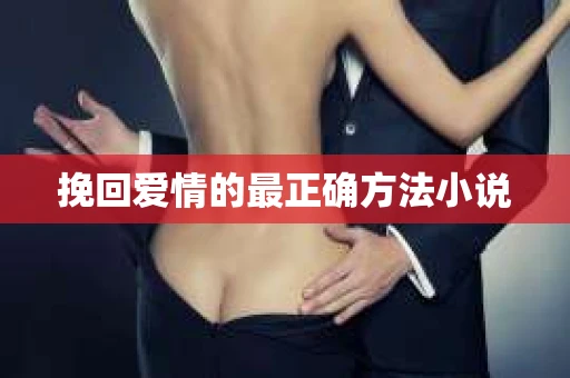 挽回爱情的最正确方法小说