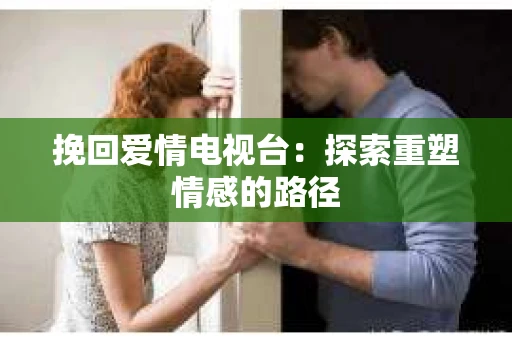 挽回爱情电视台：探索重塑情感的路径