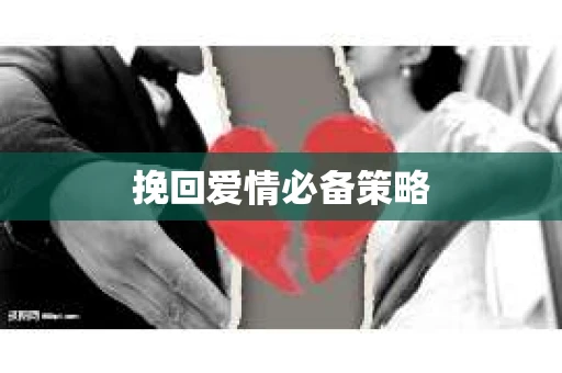 挽回爱情必备策略