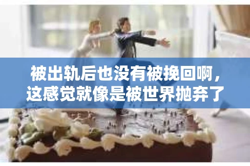 被出轨后也没有被挽回啊，这感觉就像是被世界抛弃了一样。我曾经也经历过这样的事情，那种心如刀割的痛，至今仍记忆犹新。今天，我想和大家聊聊这个话题，希望能给那些正在经历或者曾经经历过类似痛苦的人一些安慰和帮助。