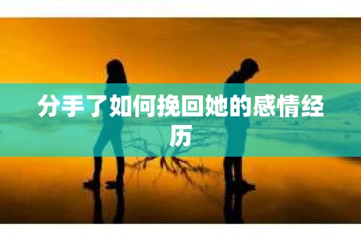 分手了如何挽回她的感情经历