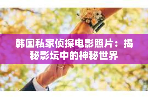 韩国私家侦探电影照片：揭秘影坛中的神秘世界