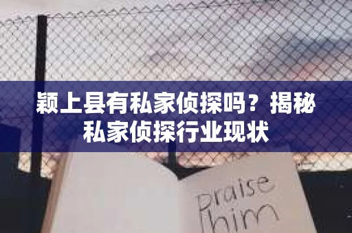 颖上县有私家侦探吗？揭秘私家侦探行业现状