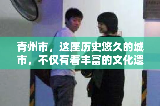 青州市，这座历史悠久的城市，不仅有着丰富的文化遗产，也有着现代生活的便捷。那么，问题来了——青州市有私家侦探公司吗？这个问题，对于需要侦探服务的人来说，无疑至关重要。接下来，我就来为大家揭开这个谜底。