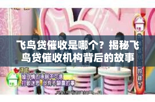 飞鸟贷催收是哪个？揭秘飞鸟贷催收机构背后的故事