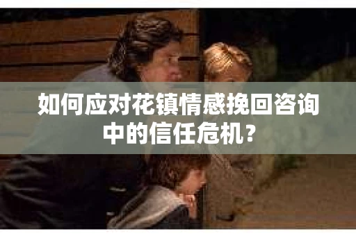 如何应对花镇情感挽回咨询中的信任危机？