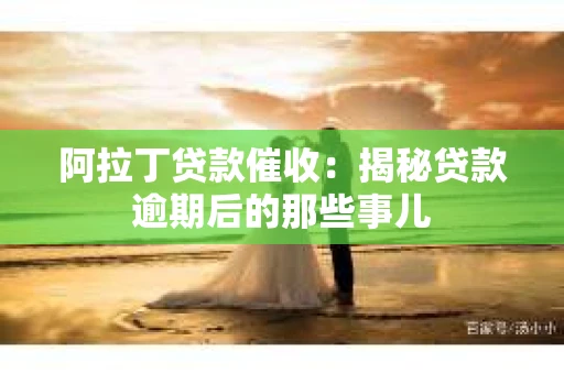 阿拉丁贷款催收：揭秘贷款逾期后的那些事儿