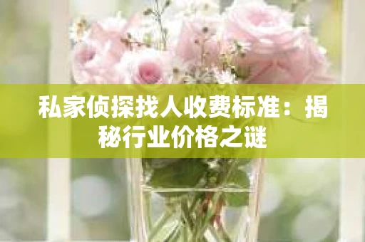 私家侦探找人收费标准：揭秘行业价格之谜