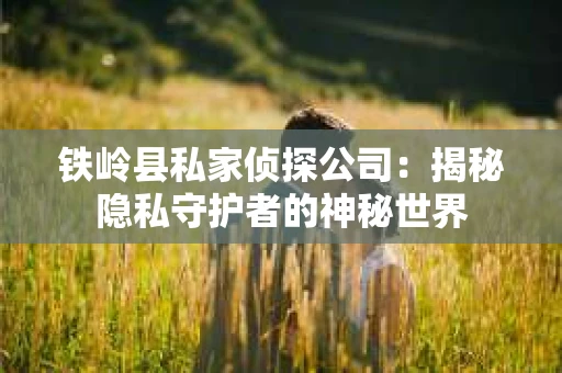 铁岭县私家侦探公司：揭秘隐私守护者的神秘世界