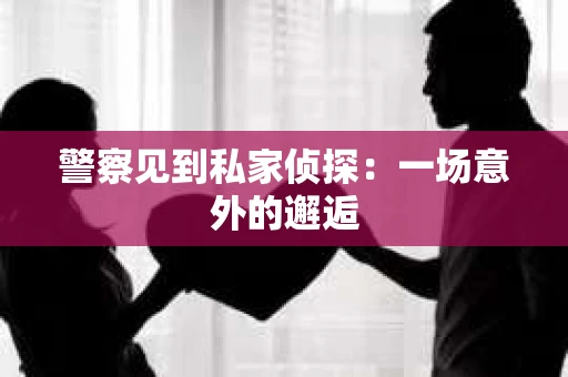 警察见到私家侦探：一场意外的邂逅