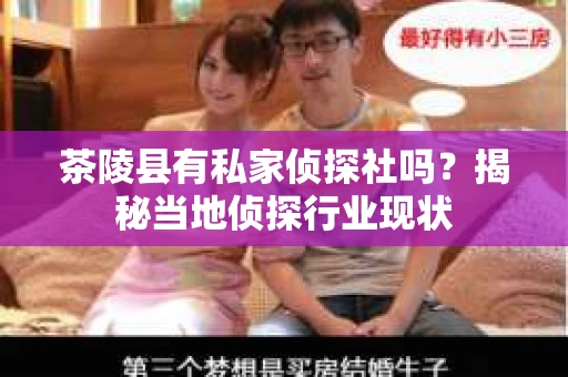 茶陵县有私家侦探社吗？揭秘当地侦探行业现状