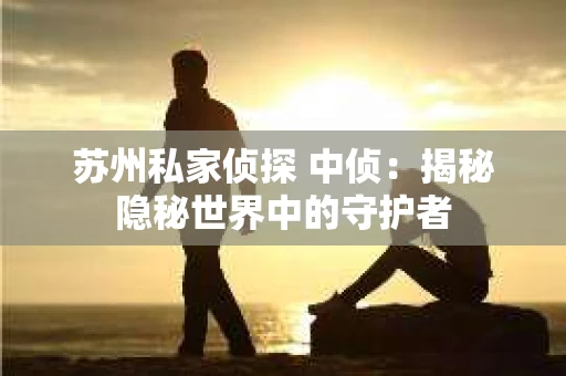 苏州私家侦探 中侦：揭秘隐秘世界中的守护者
