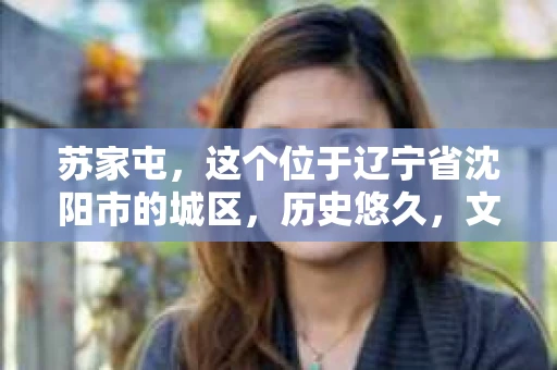 苏家屯，这个位于辽宁省沈阳市的城区，历史悠久，文化底蕴深厚。近年来，随着社会的发展，人们对于私家侦探的需求也逐渐增加。那么，苏家屯有私家侦探吗？今天，我们就来聊聊这个话题。