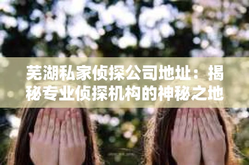 芜湖私家侦探公司地址：揭秘专业侦探机构的神秘之地