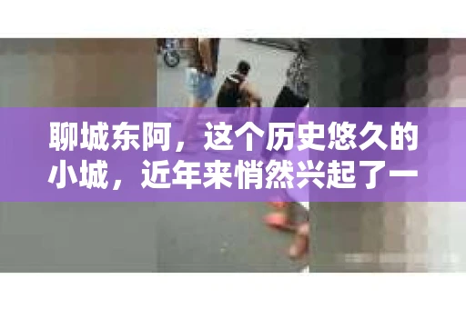 聊城东阿，这个历史悠久的小城，近年来悄然兴起了一股新的服务潮流——私家侦探。今天，我们就来聊聊这个话题，看看在聊城东阿，私家侦探是如何成为人们生活中的一部分的。