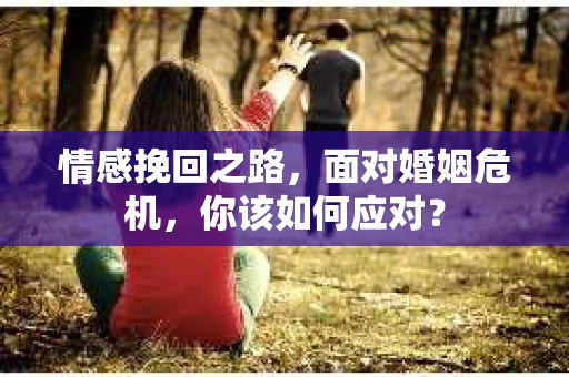 情感挽回之路，面对婚姻危机，你该如何应对？