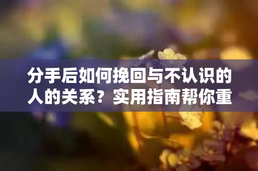 分手后如何挽回与不认识的人的关系？实用指南帮你重拾失去的联结