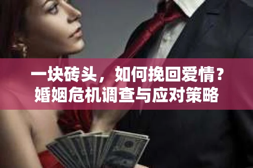 一块砖头，如何挽回爱情？婚姻危机调查与应对策略