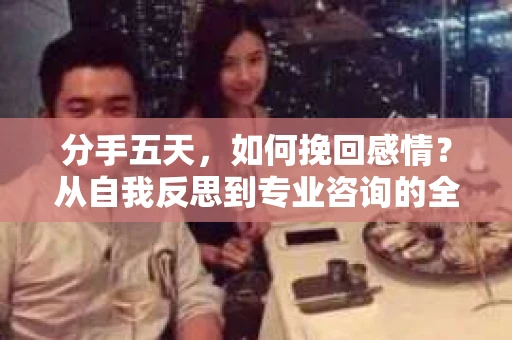 分手五天，如何挽回感情？从自我反思到专业咨询的全面解决方案
