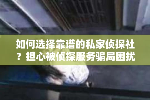 如何选择靠谱的私家侦探社？担心被侦探服务骗局困扰怎么办？