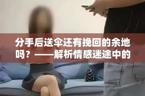 分手后送伞还有挽回的余地吗？——解析情感迷途中的决策